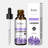 Lavender Plant Essential Oil